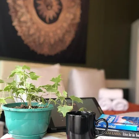 The Local & Oda ve Kahvaltı